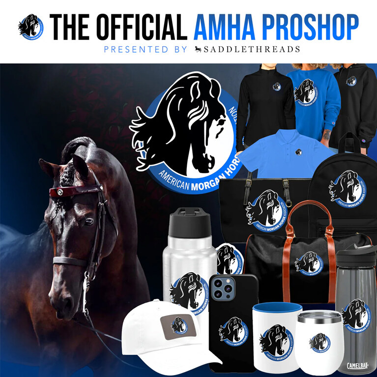 AMHA SaddleThreads ProShop