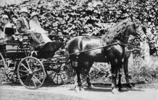 Ashbrook and Ne Komia hitched as a pair and driven in the Fourth of July Celebration in Randolph, Vermont in 1928. 