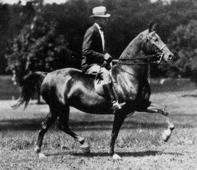 1939 Eastern Morgan Horse Show. Earl Krantz & Rhyme. &#34;Rhyme won many saddle classes with Earl Krantz aboard.&#34;