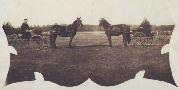 J. J. Lynes with one of his sons and their Morgan carriage horses.