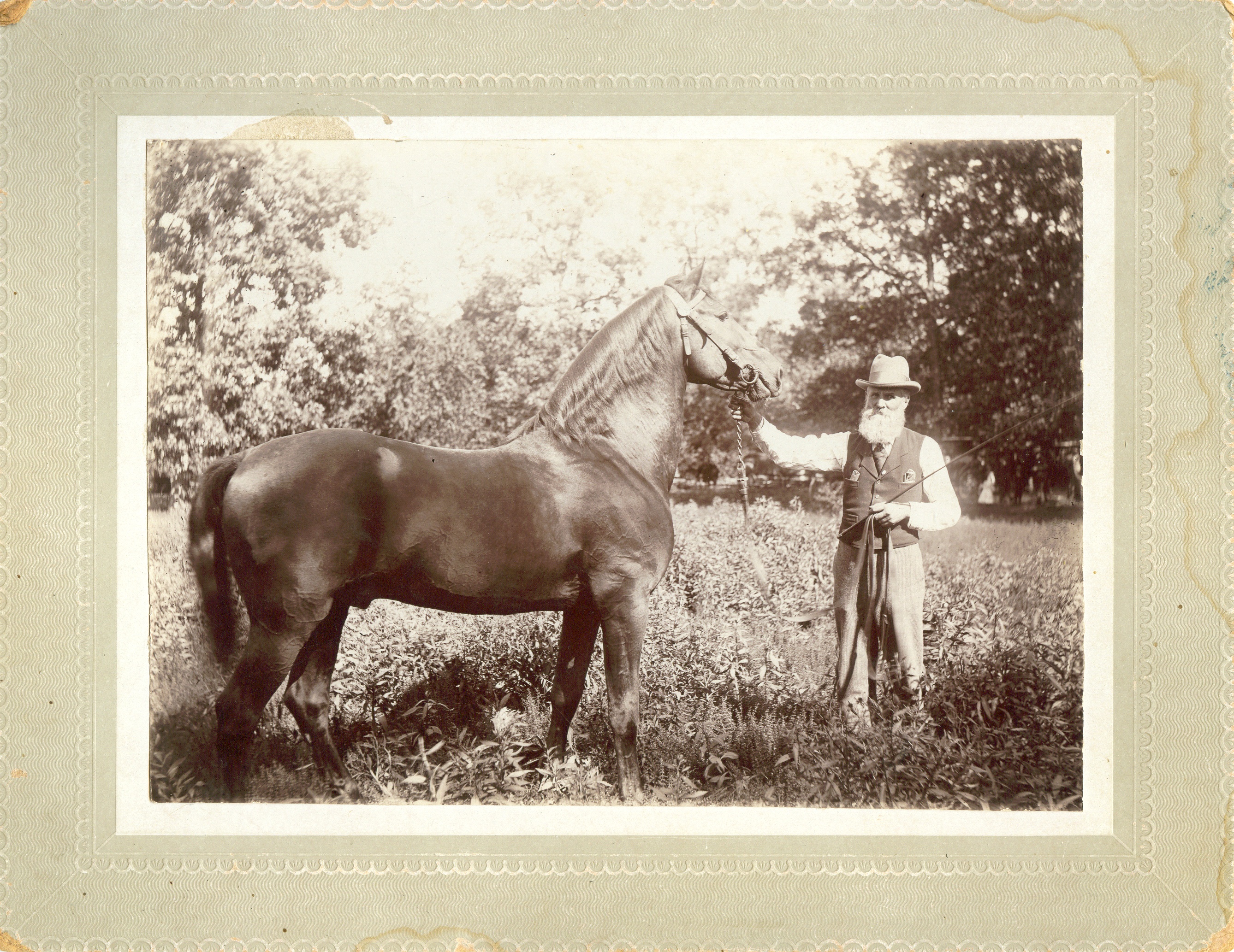 Thomas Jefferson Bennett with Morgan Horse. Picture taken circa 1900 near Adair, IL.