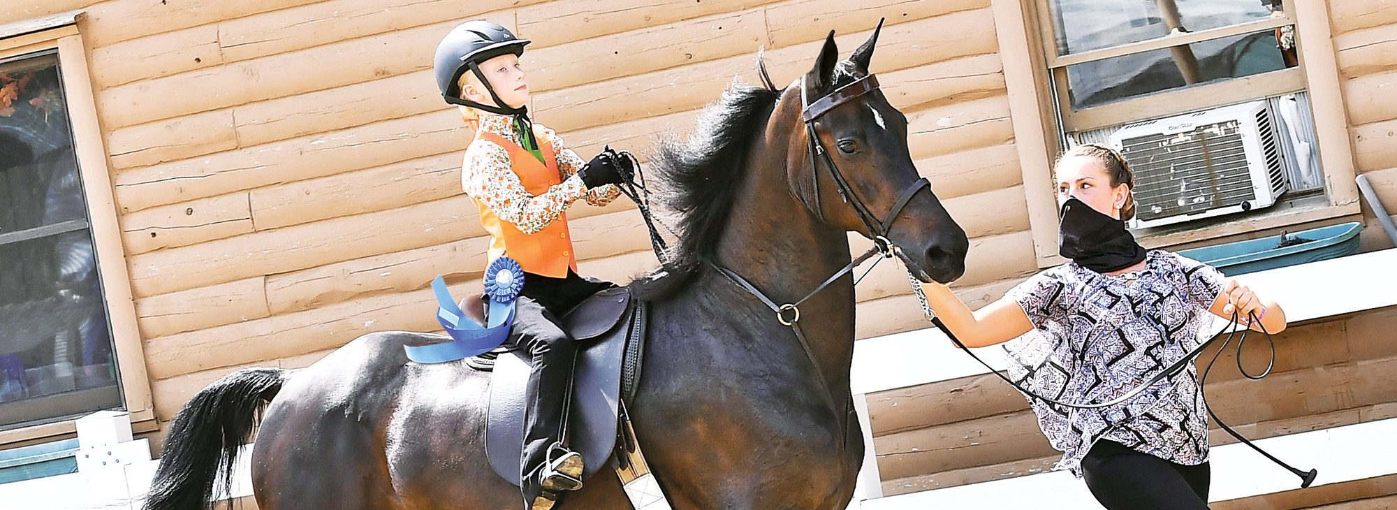 Young Girl Riding a Morgan Horse