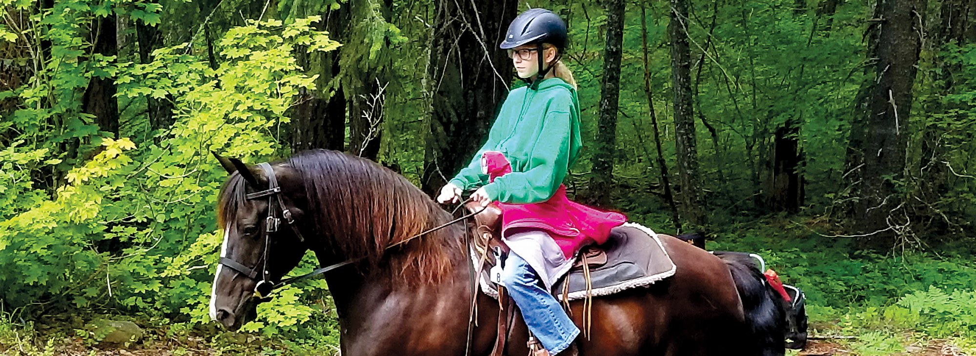 Girl riding her Morgan horse in the Forest