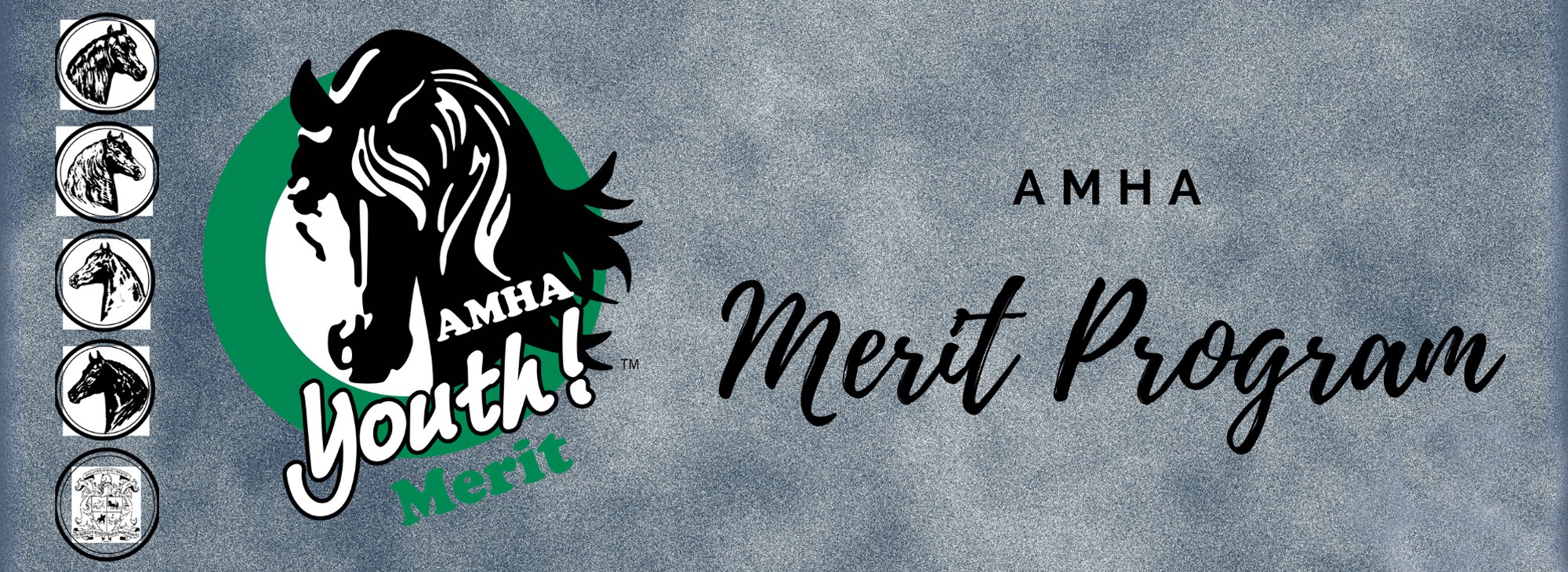 Merit Program Logo