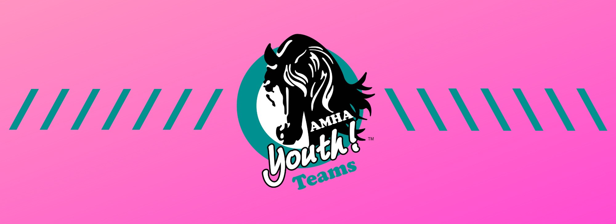AMHA Youth Teams Logo