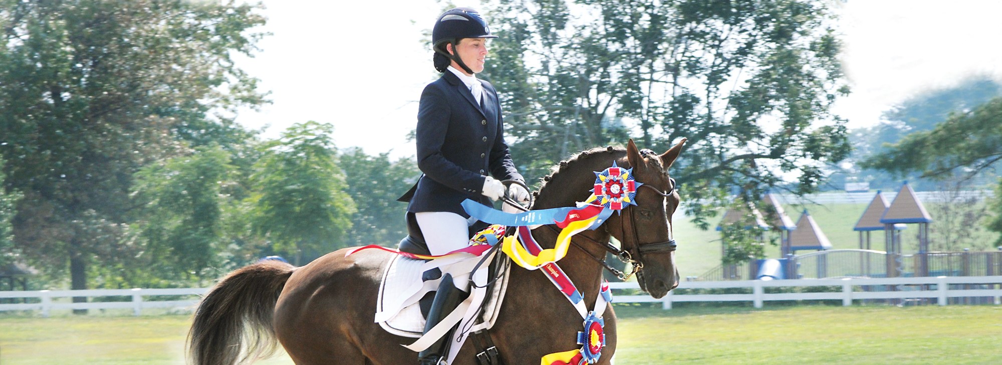 Dressage Horse and Rider