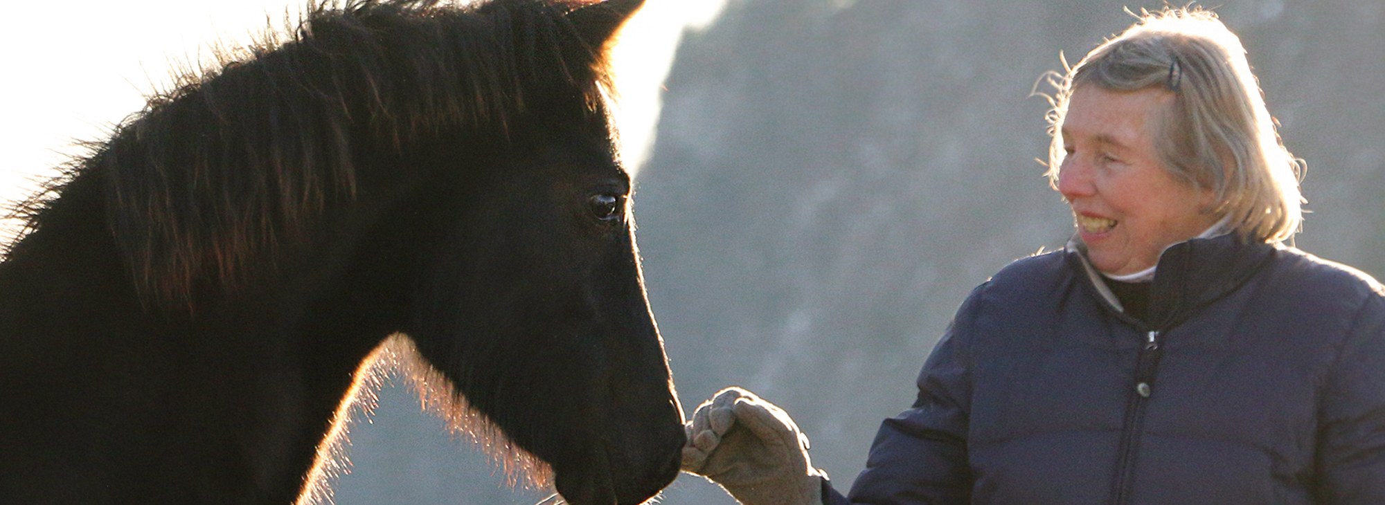 Morgan Foal and Owner