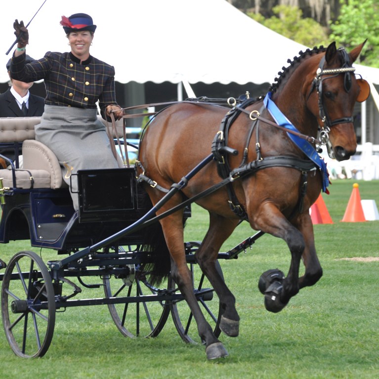 Woman waving driving her Carriage Horse