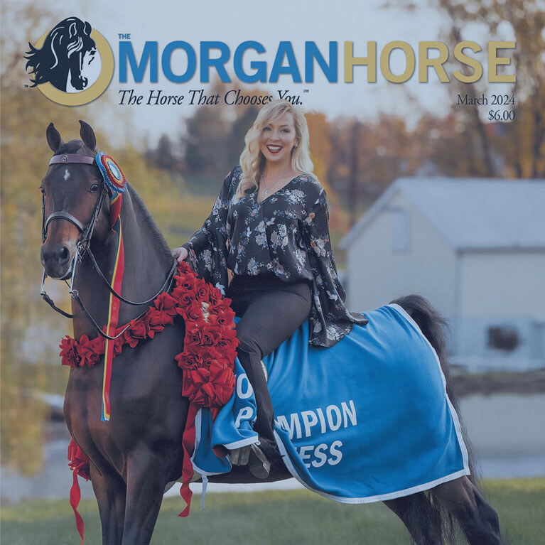 Front cover of March 2024 The Morgan Horse magazine