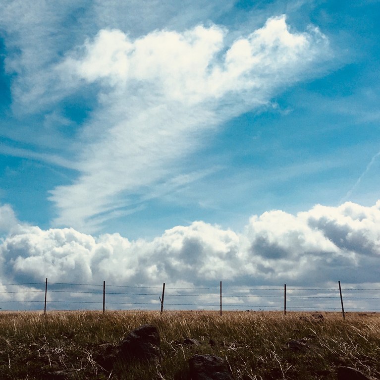 field with cloud above