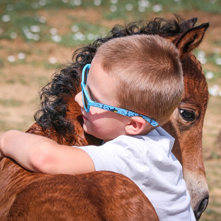 Little boy hugging a foal