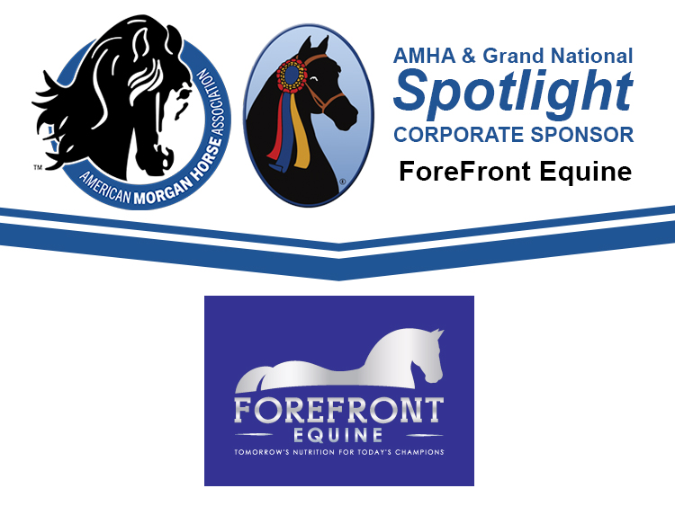 news_2022_fb_corp_spotlight_fore_front_equine.jpg