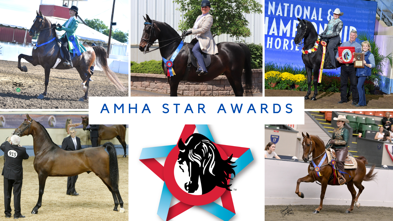 news_amha-star-awards.png