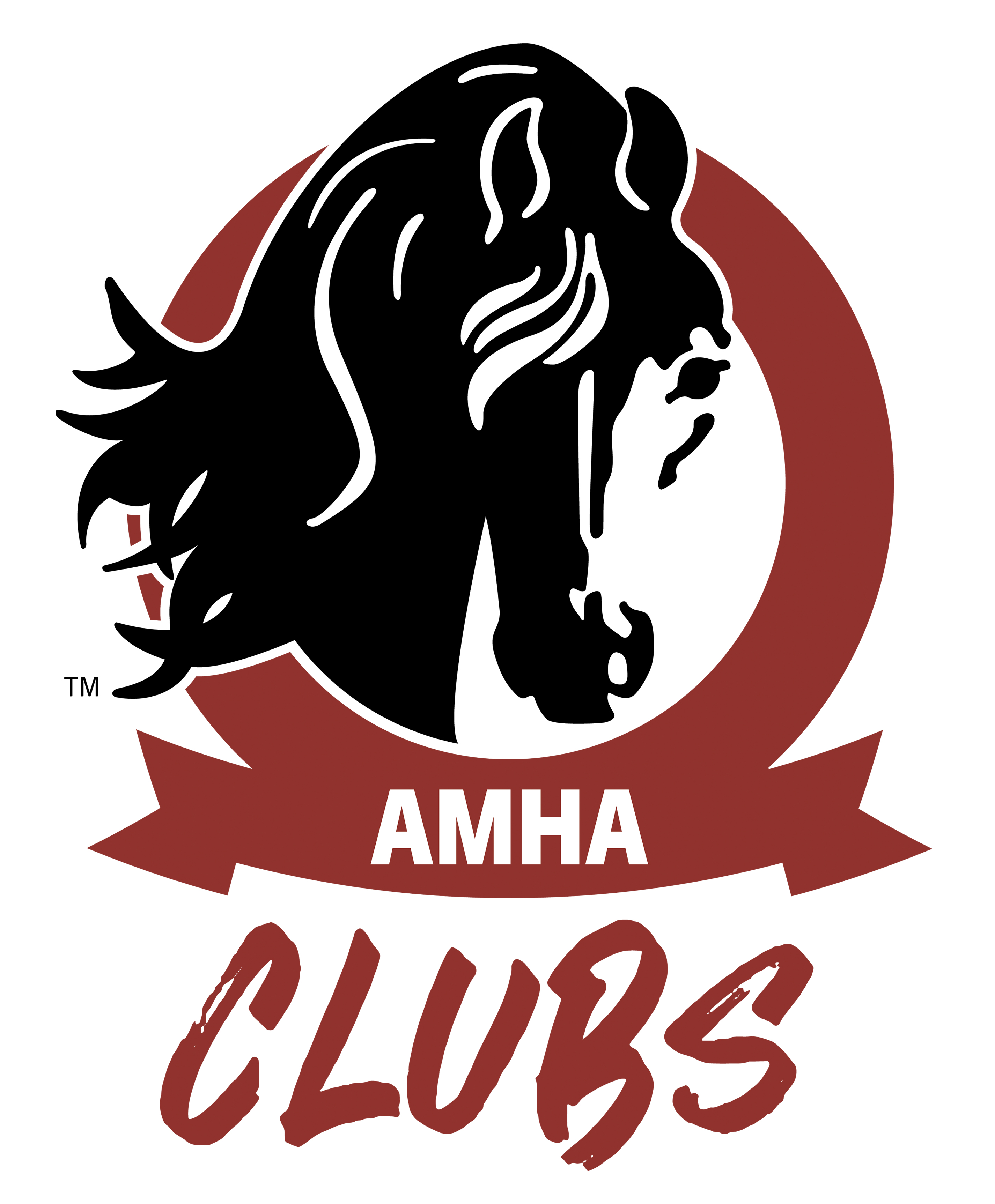 news_amhaprogram_logos_clubs.jpg
