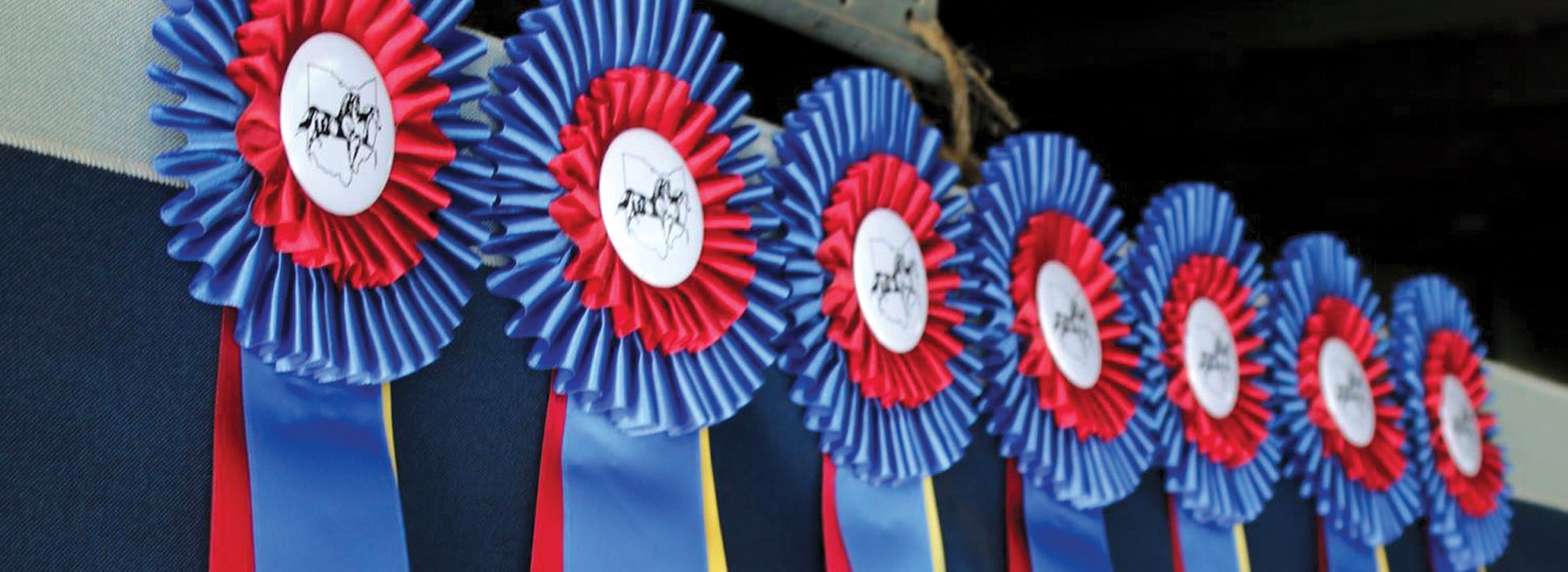 news_headerimage_pages_header_news_events_competitions_show_results.jpg