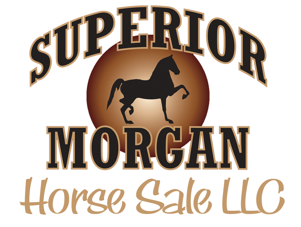 news_superior-morgan-logo.png