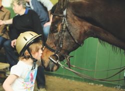 Little girl kissing the nose of a Morgan horse